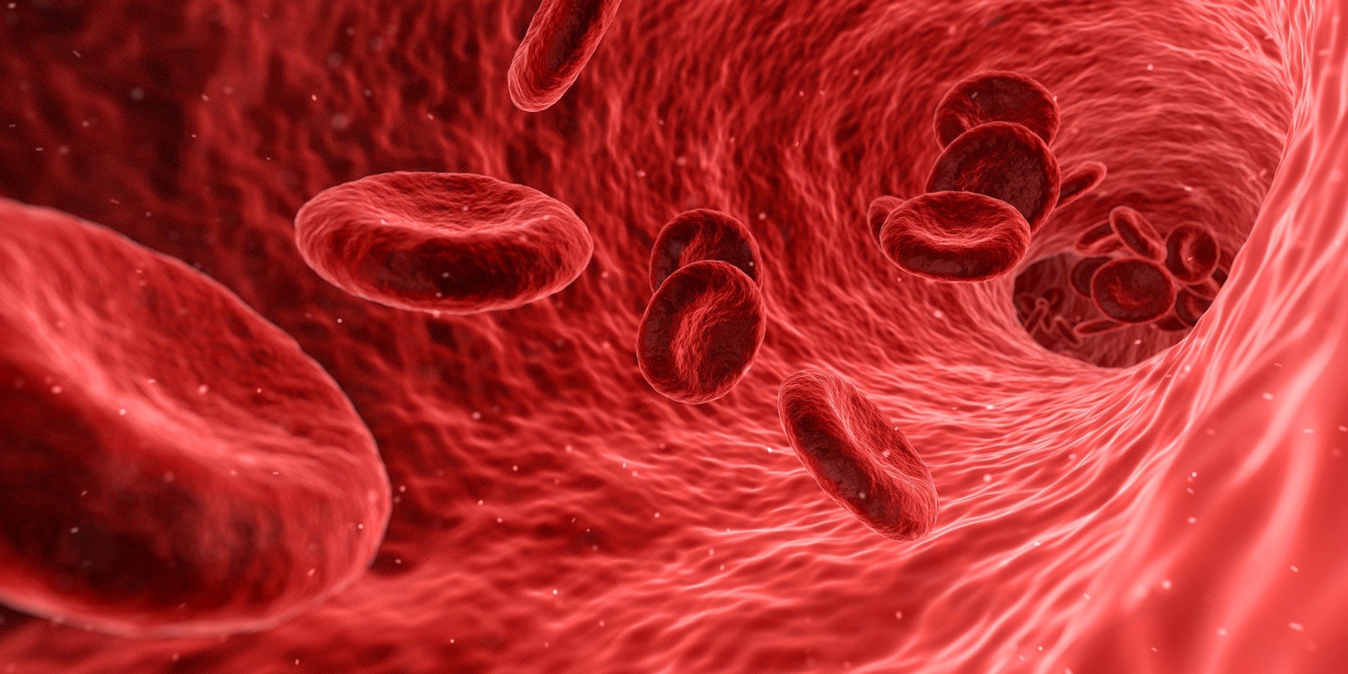 Mencegah Anemia