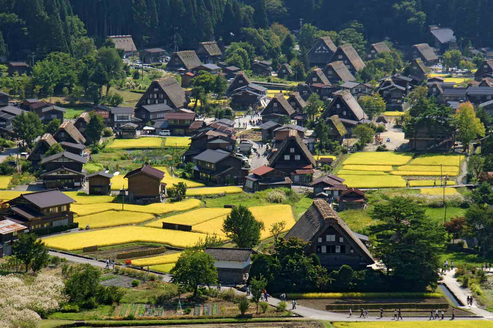 desa