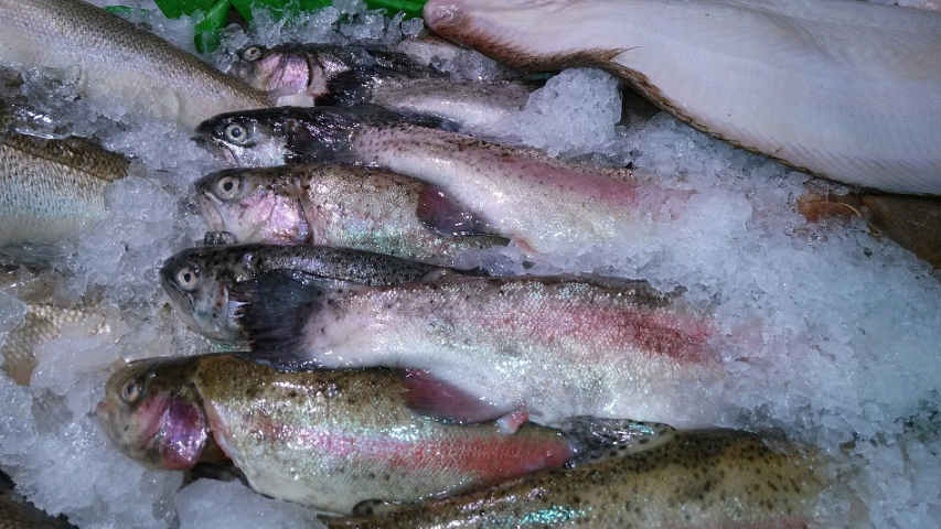 macam-macam pengawetan makanan