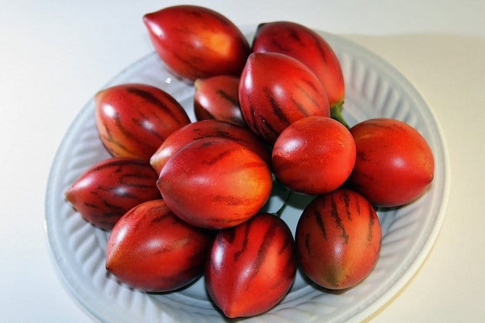 cara membuat jus terong belanda susu
