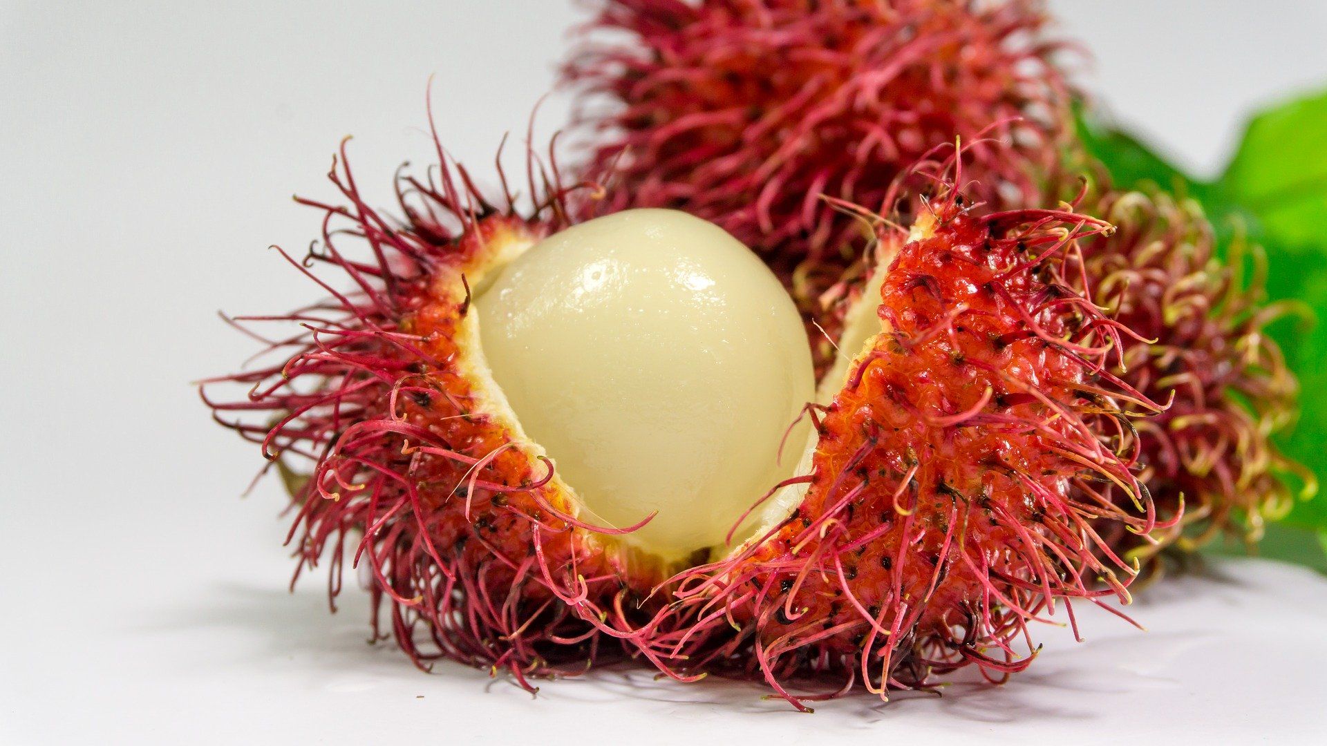 cara bikin manisan rambutan manis