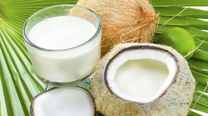 minyak kelapa hijau dan manfaatnya