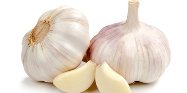 Bawang Putih