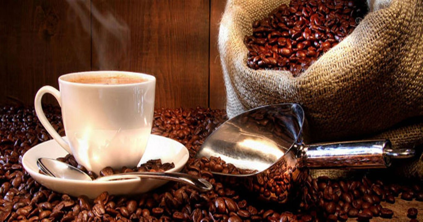 manfaat kopi luwak