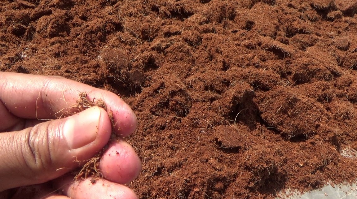 penggunaan cocopeat