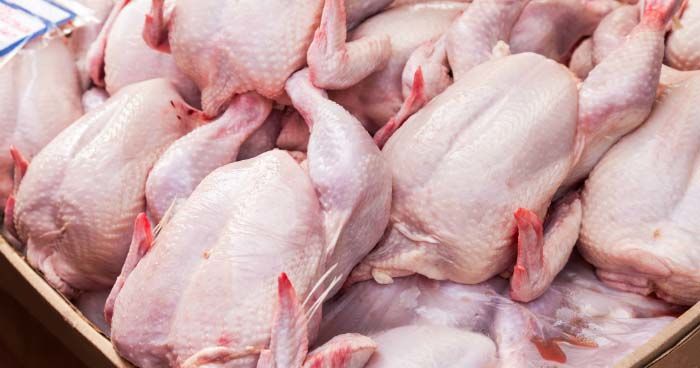 Manfaat Daging Ayam