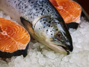 cara masak ikan salmon