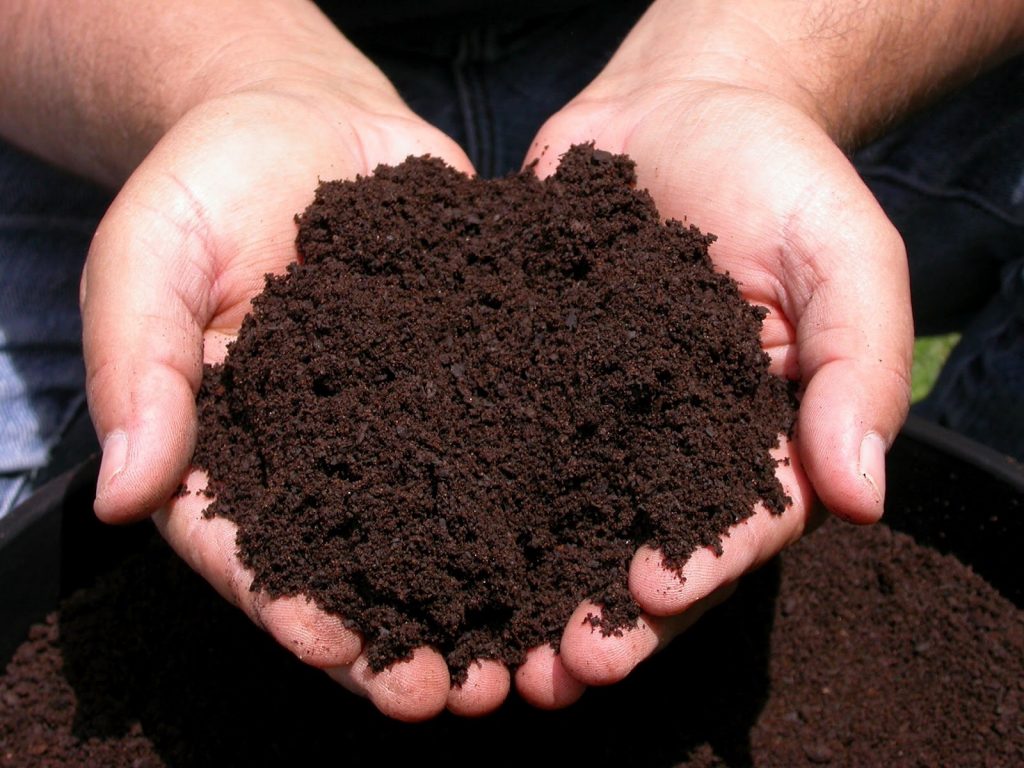 cara membuat pupuk kompos dari daun hijau