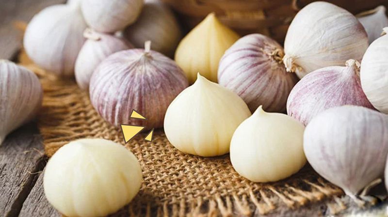 Bawang Putih Tunggal