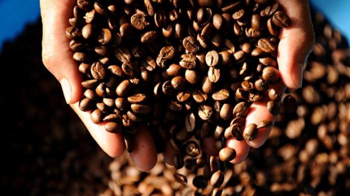 Perbandingan Kopi Basah dan Kering