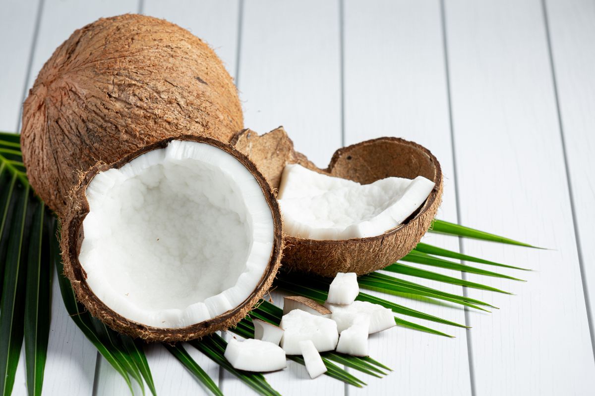 Analisa Usaha Santan Kelapa