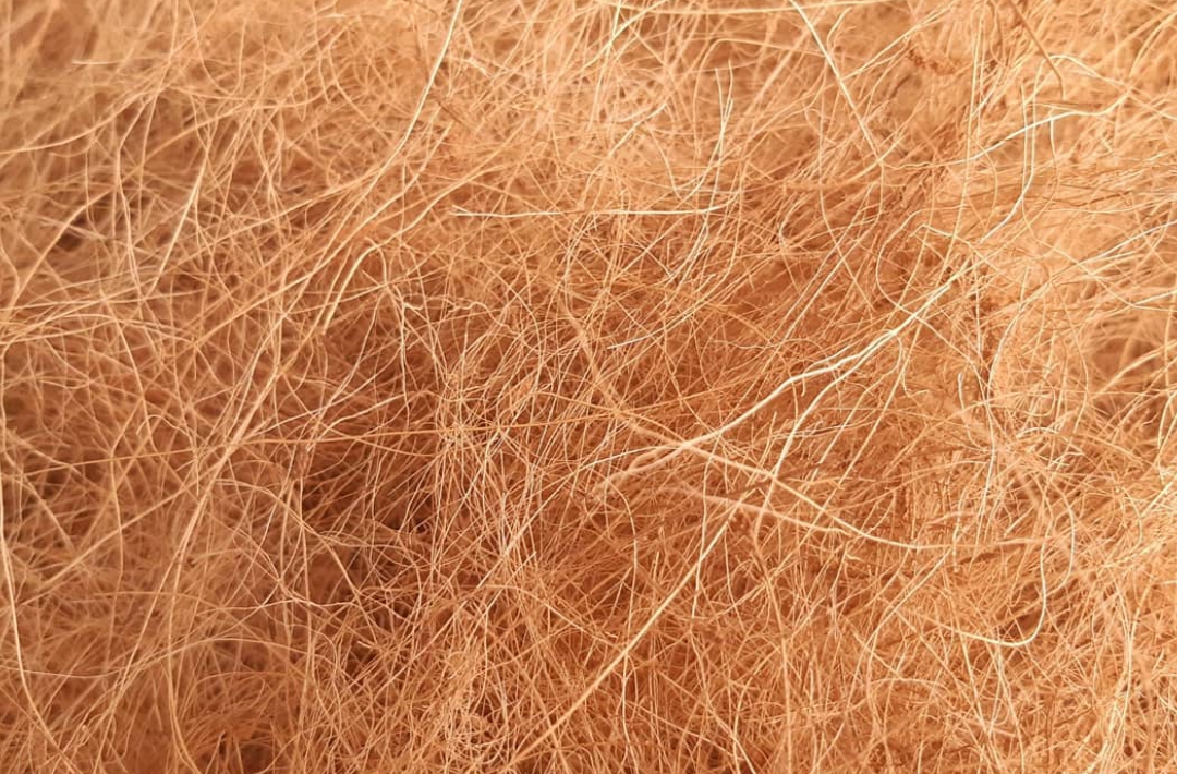 cara mengolah cocofiber