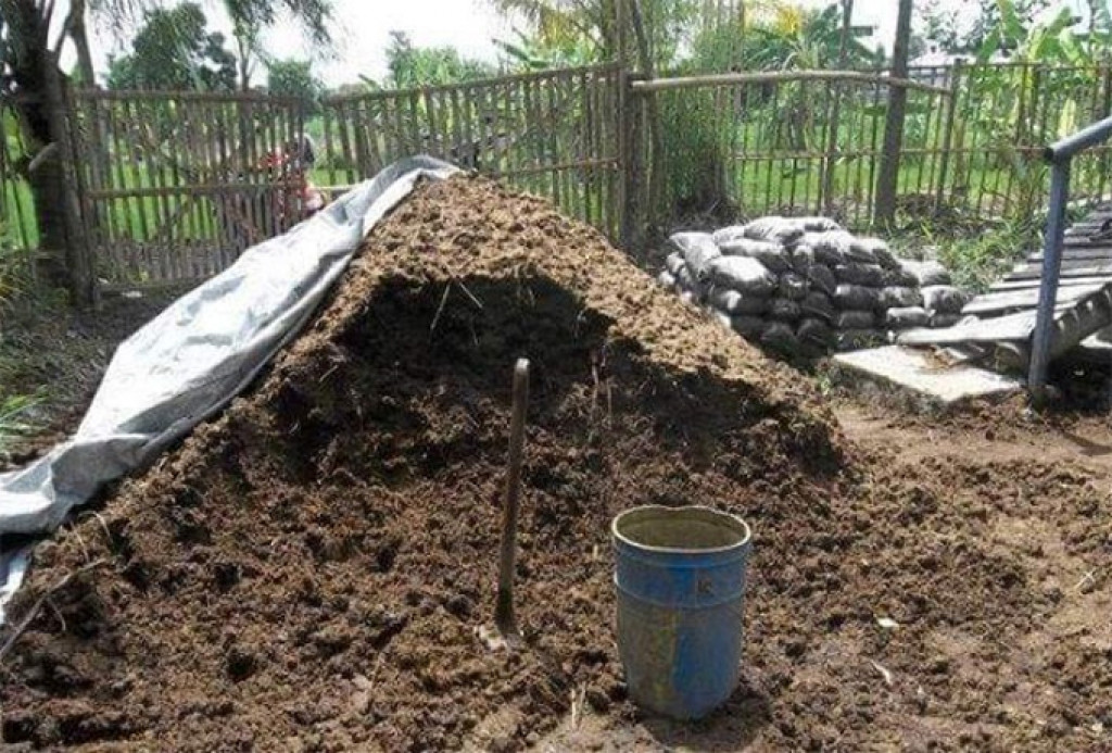 Perbedaan Pupuk Kompos dan Pupuk Kandang
