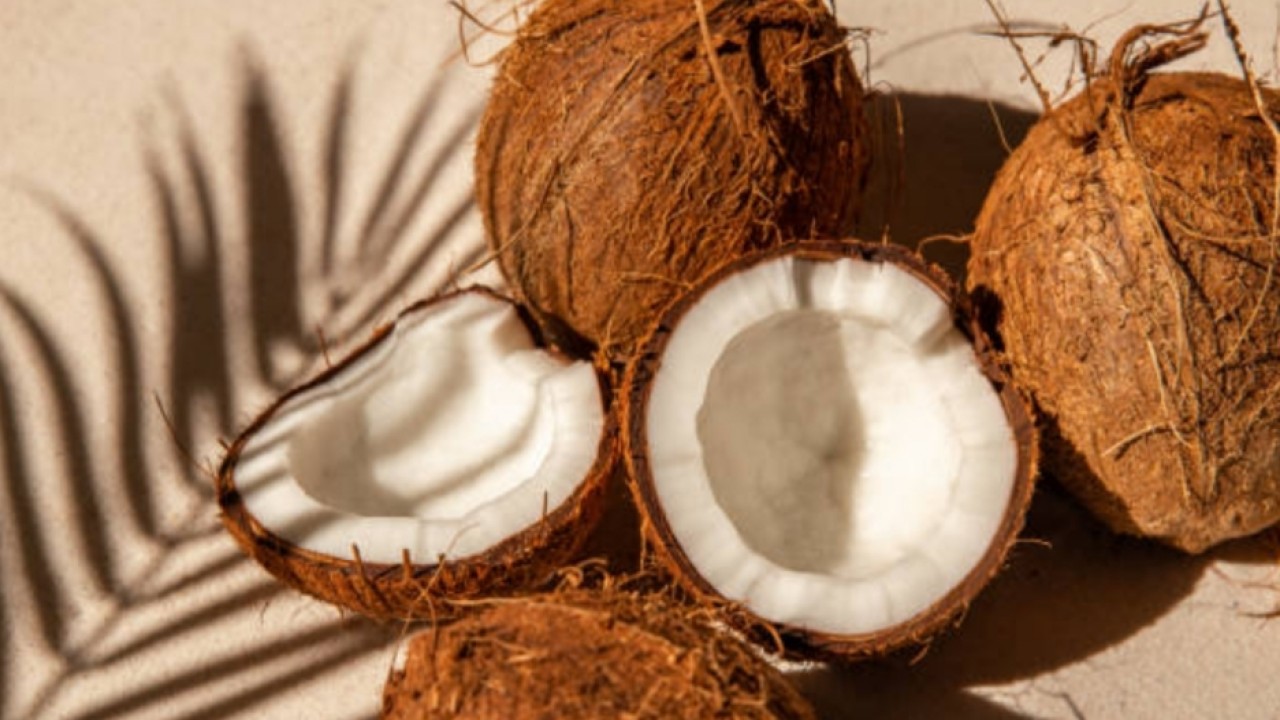 Olahan kelapa segar