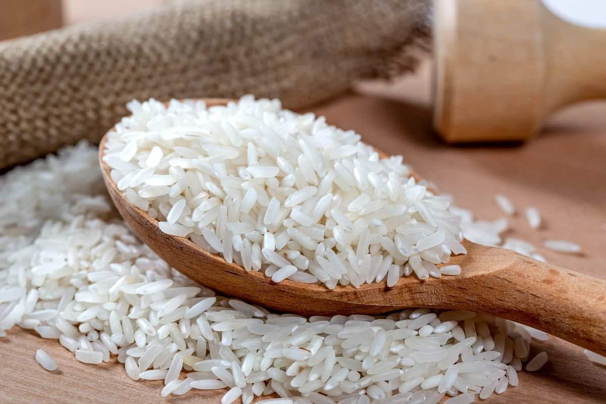 1 porsi nasi berapa kalori