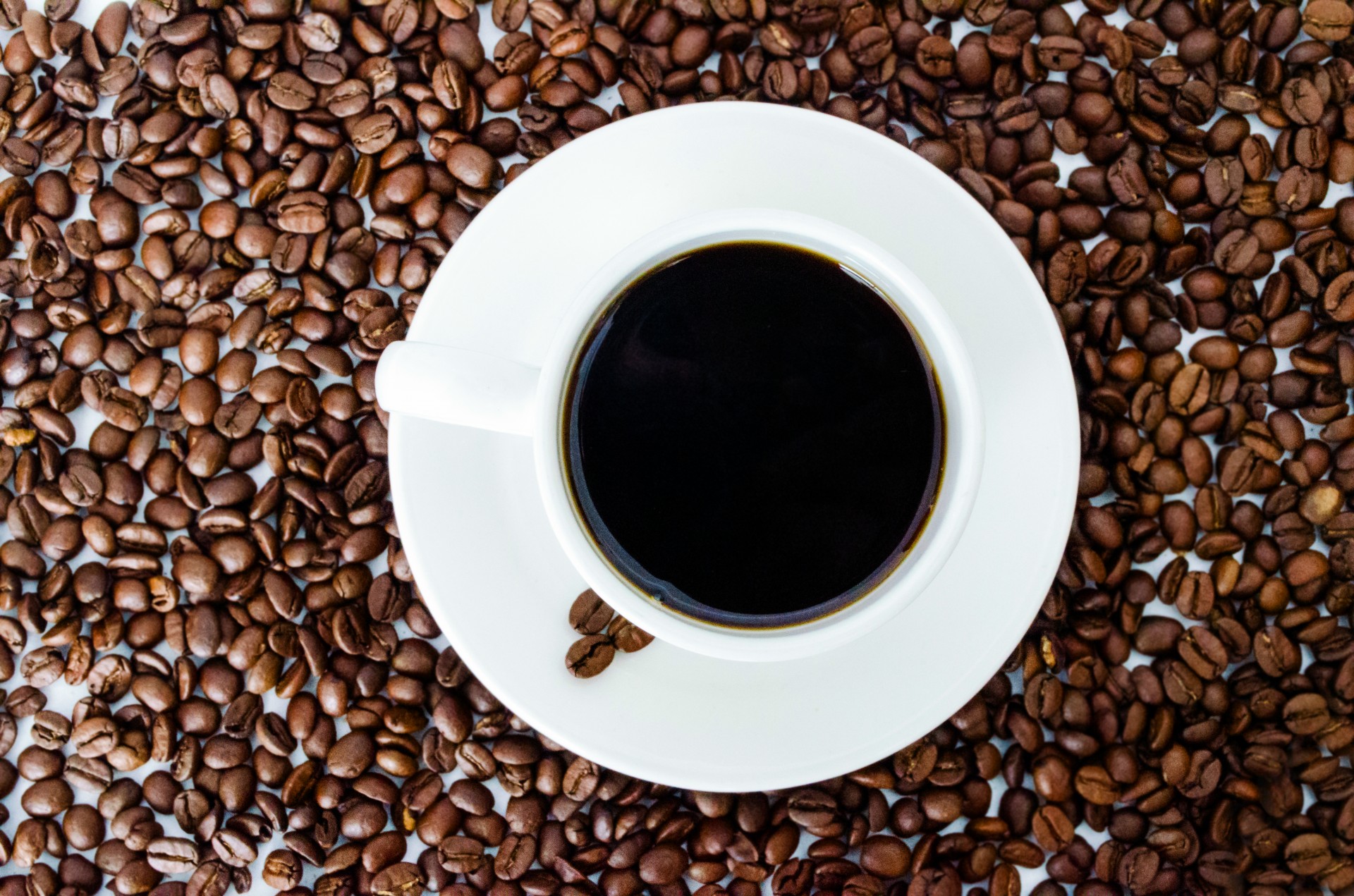 pilih biji kopi untuk americano