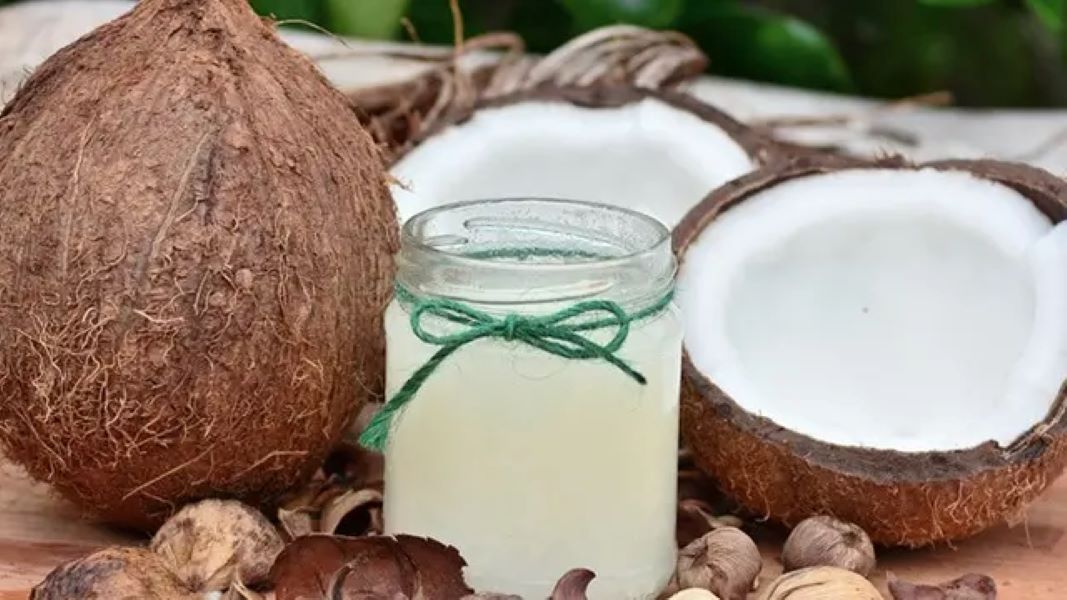 cara sederhana membuat minyak kelapa