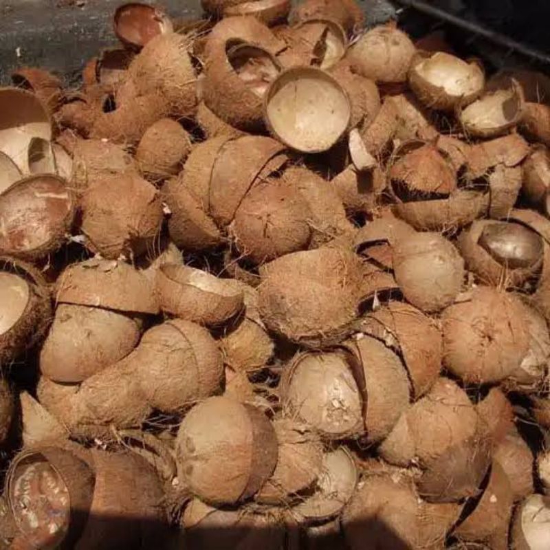 Peluang Usaha Kerajinan Tempurung Kelapa