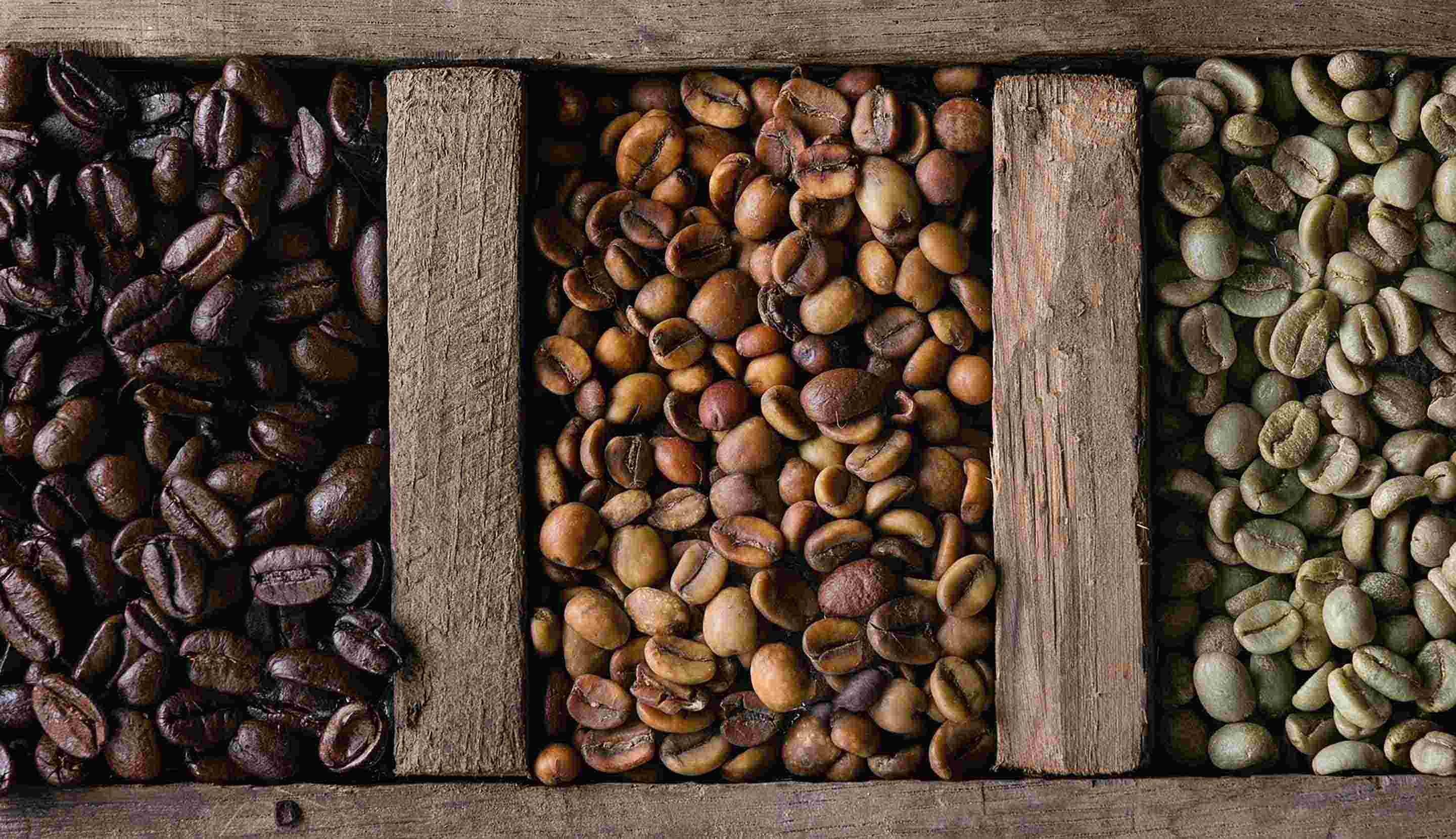 Jenis-Jenis Kopi Nusantara