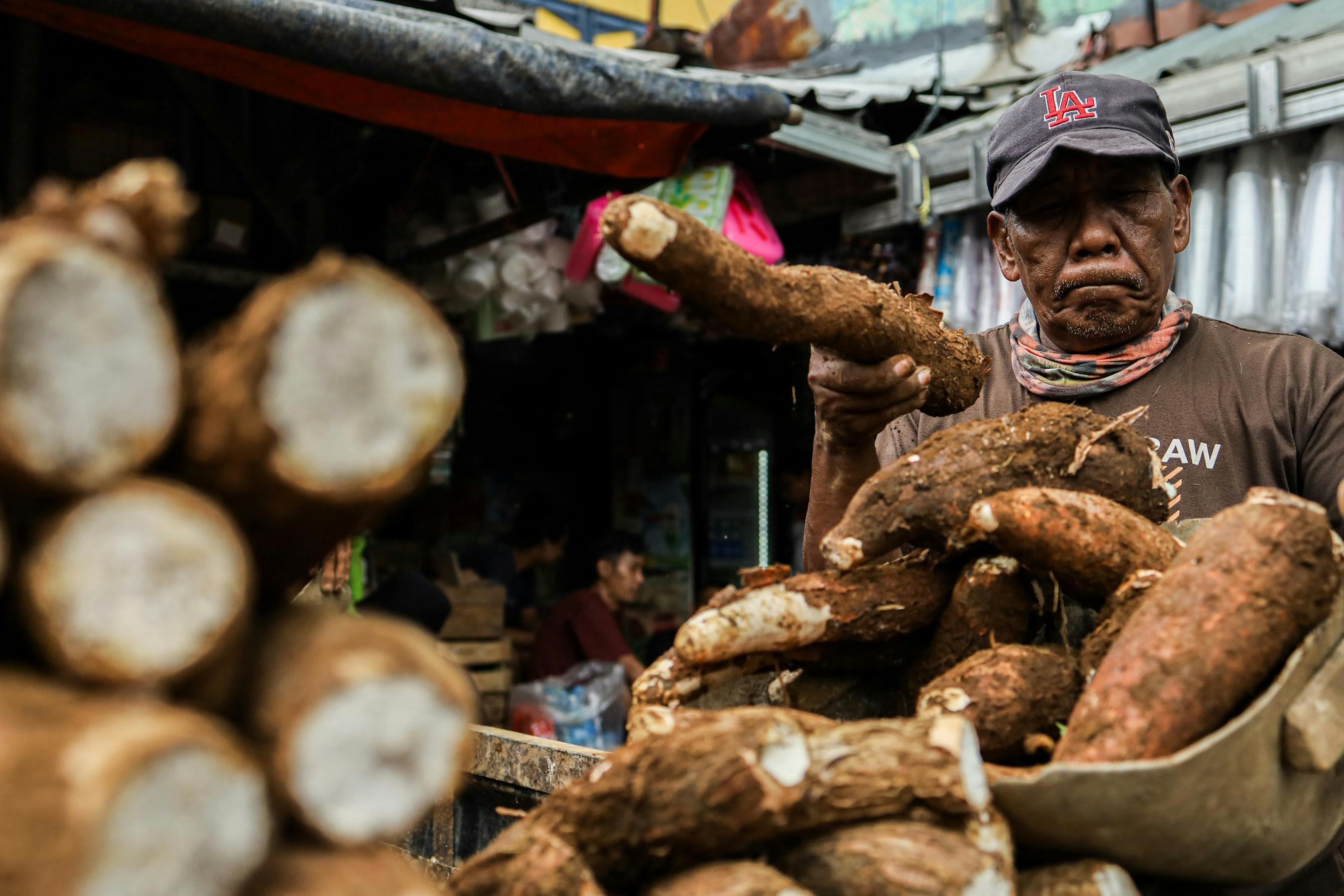bisnis olahan singkong
