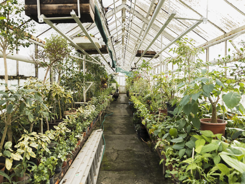 Keuntungan Membangun Greenhouse
