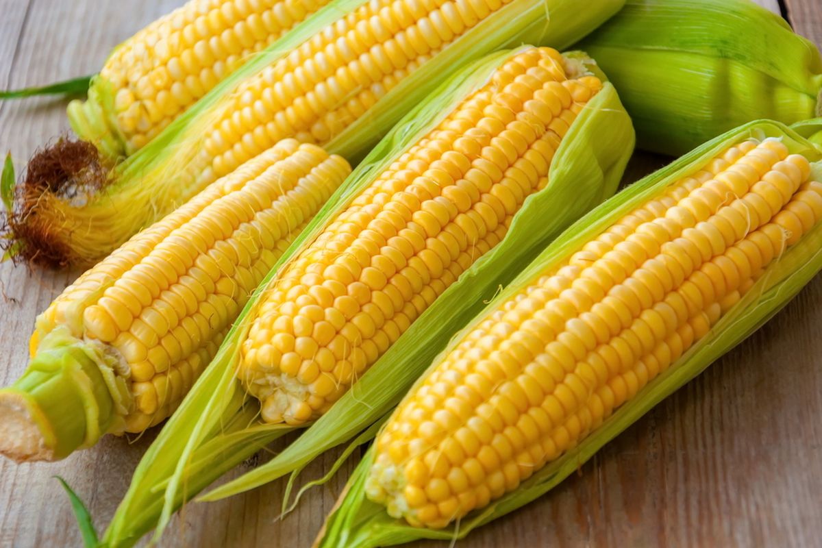 Mesin Pemipil Jagung Berkualitas