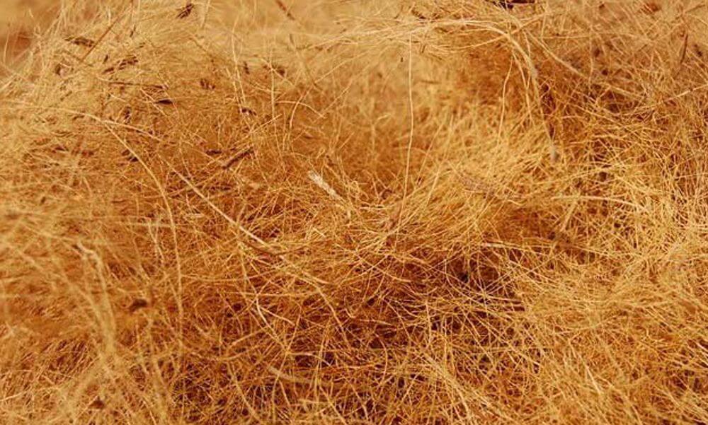 Ekstraksi Serat Premium dari Sabut Kelapa