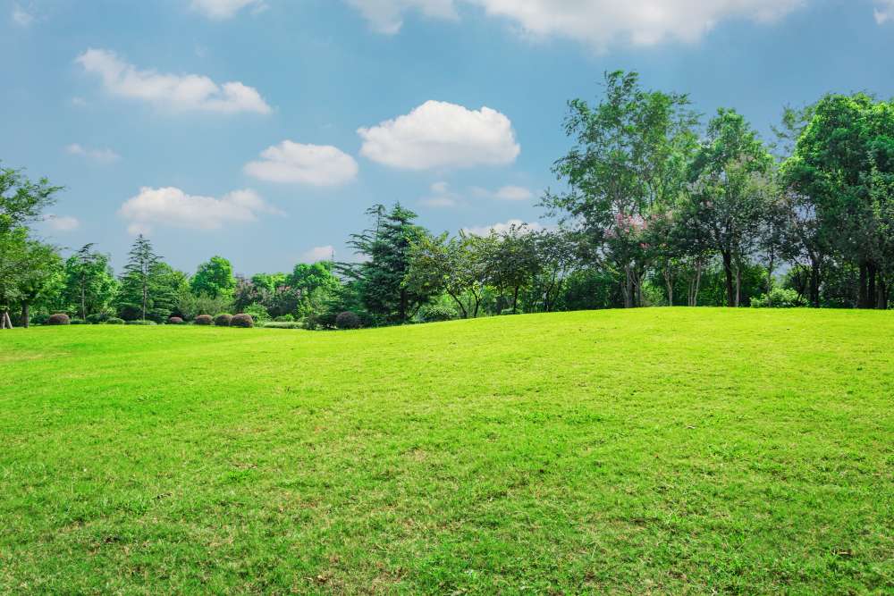Berbagai Manfaat Pencacah Rumput