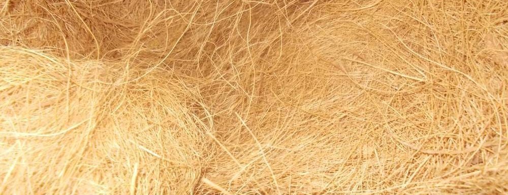 Sabut Kelapa untuk Revegetasi Lahan