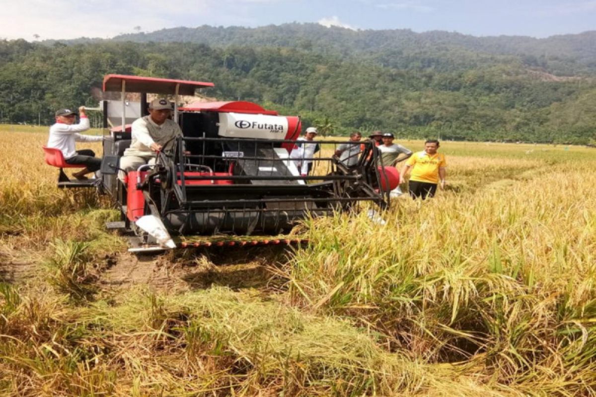Mesin Pemotong Padi Modern Efisien Berkualitas