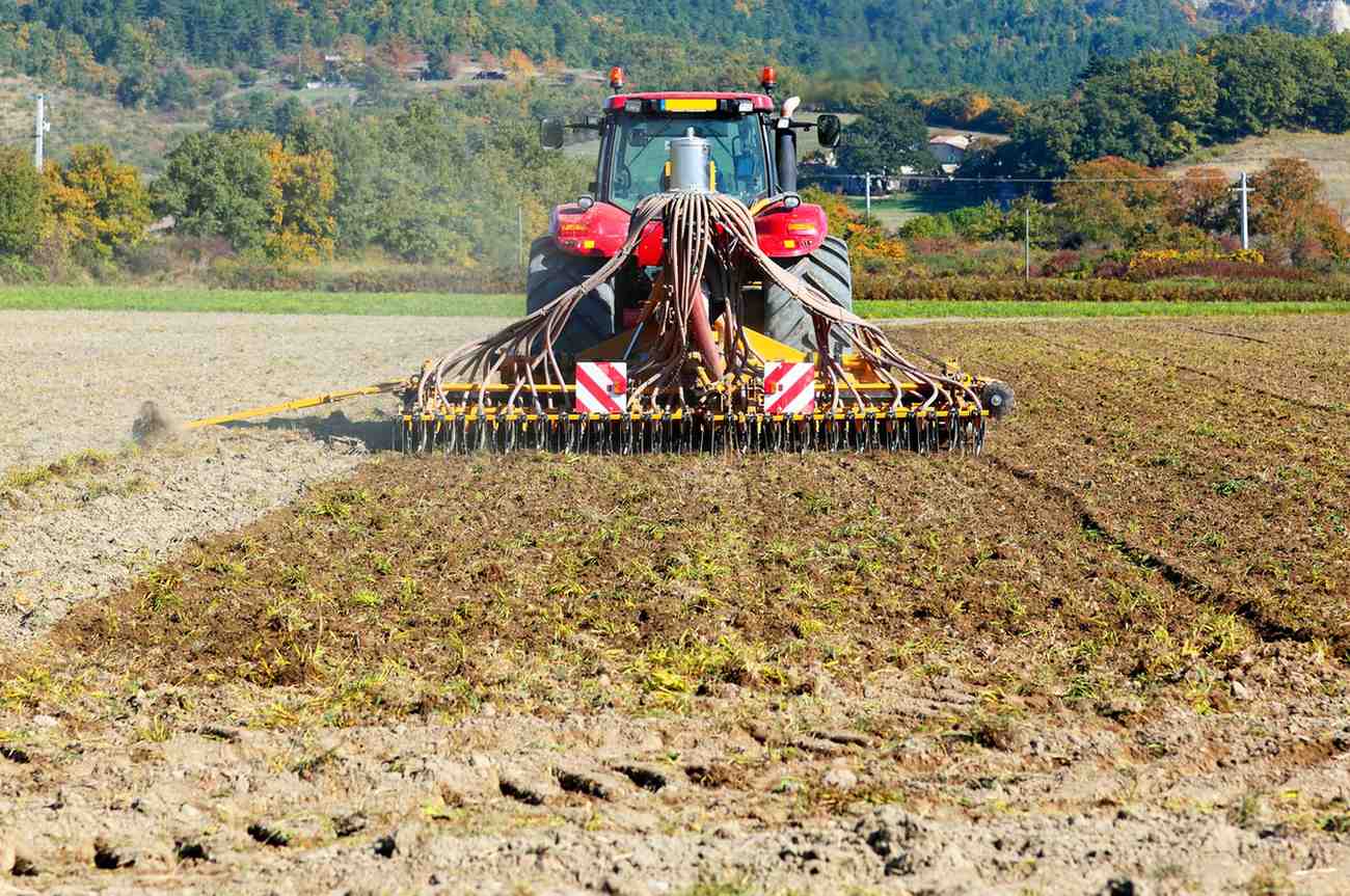 cara menyiapkan lahan untuk mesin tanam padi