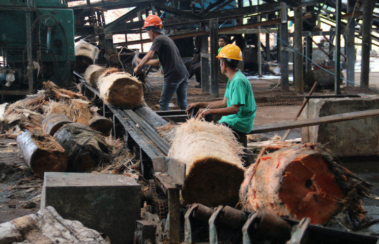 Solusi Produksi Sagu Skala Besar