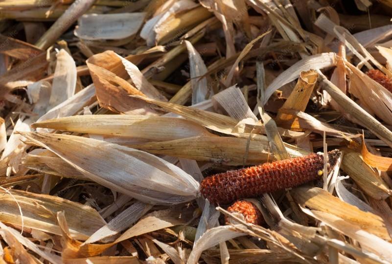 cara mengurangi limbah tongkol jagung