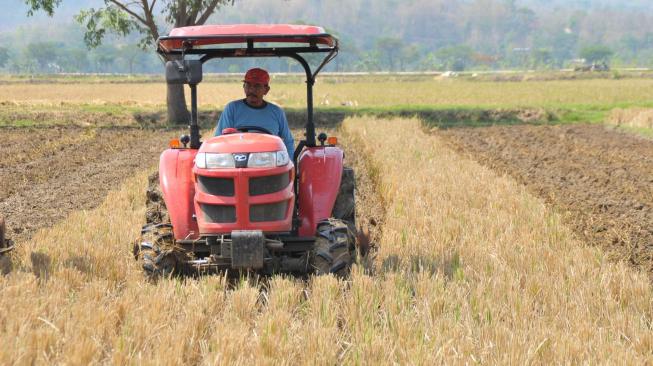 peluang usaha berbasis mesin pengolahan