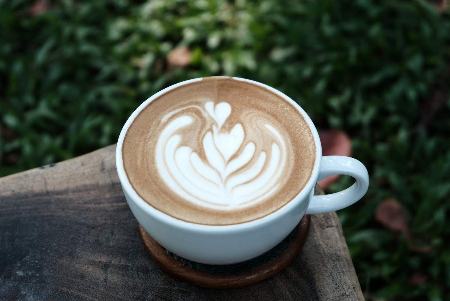 Cara Meningkatkan Kualitas Sajian Kopi