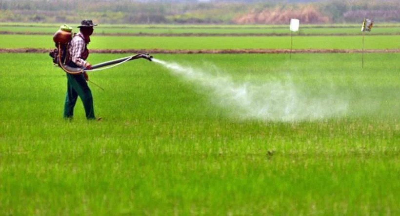 solusi mengurangi waktu penyemprotan tanaman