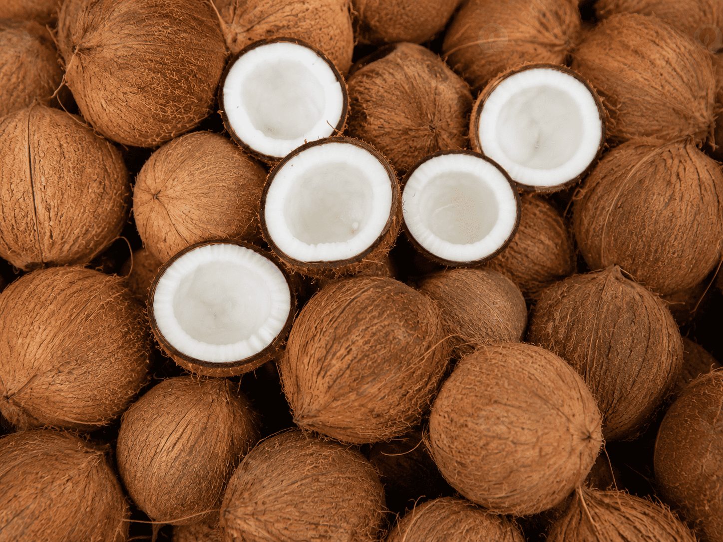 daging kelapa untuk bahan baku