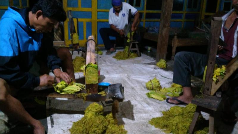 tips menghasilkan ukuran rajangan lebih seragam