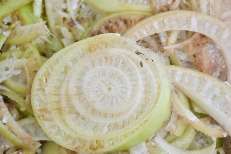 Cara Mengolah Limbah Batang Pisang